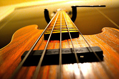 Bass Guitar