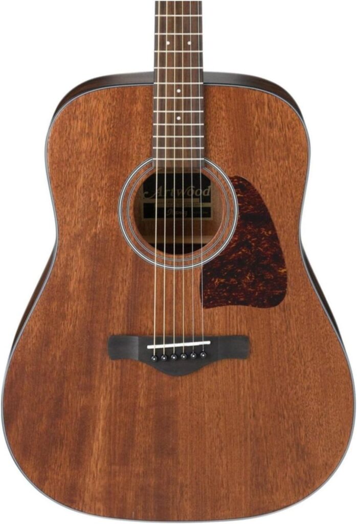 A warm, reliable acoustic guitar, great sound and build quality at a fair price. Ibanez AW35