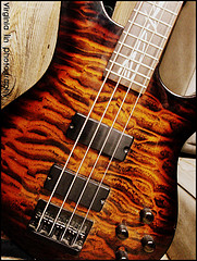 Bass Guitar