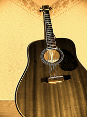 25. My Guitar