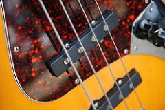 Bass Guitar