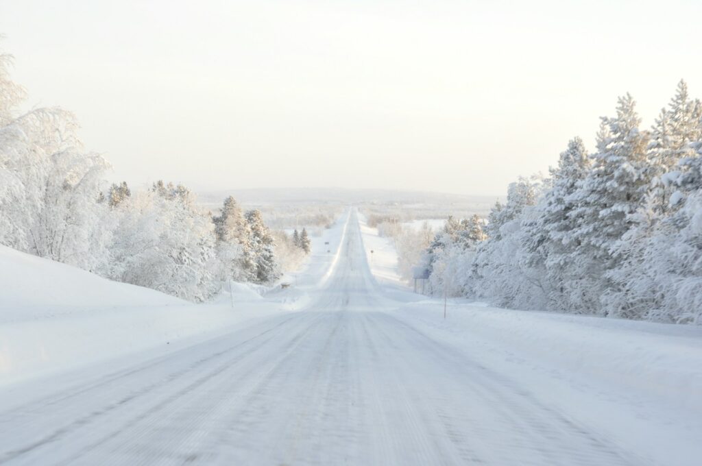 baltics and finland